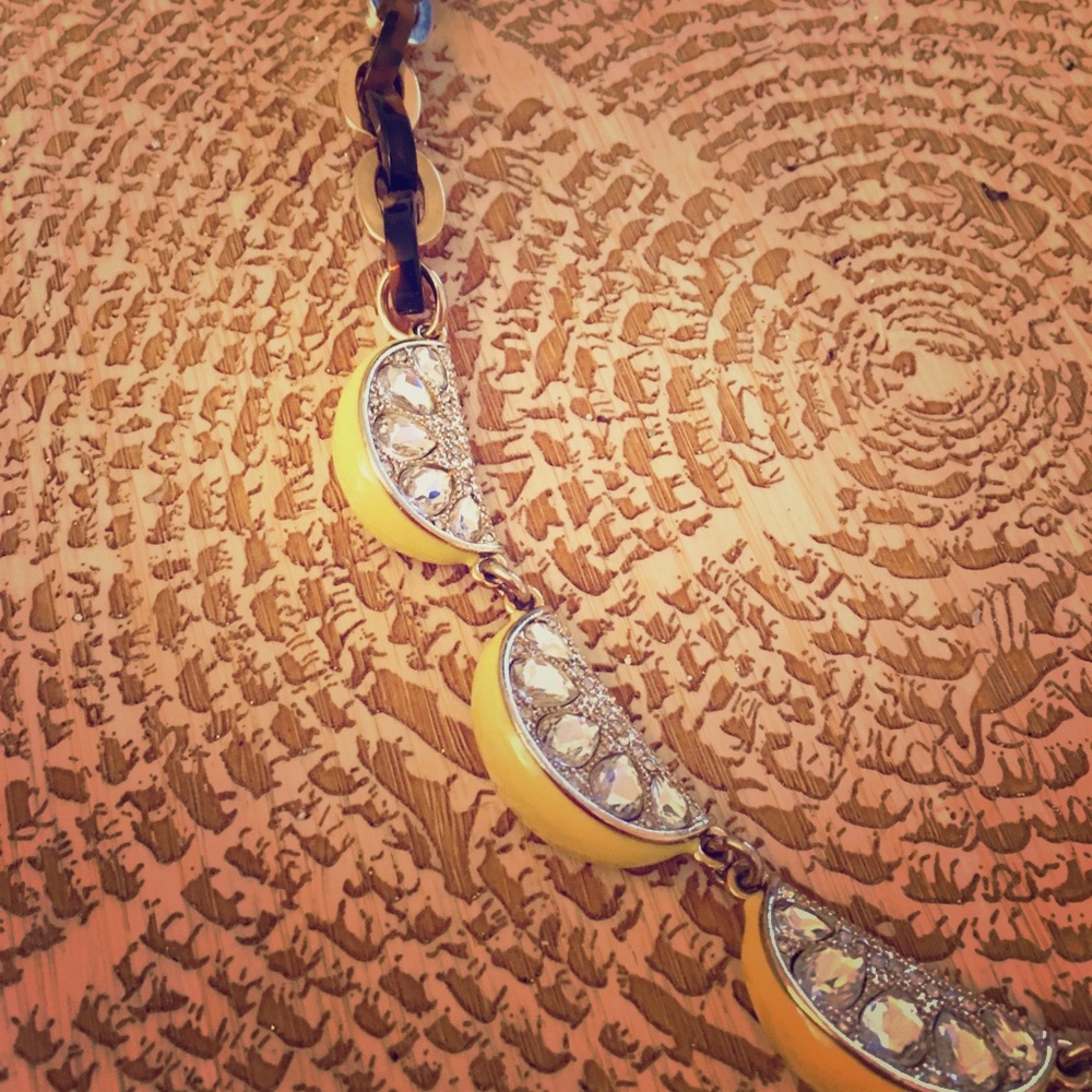 Ann Taylor Citrus tortoise necklace